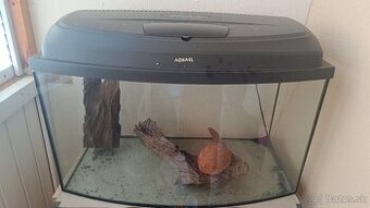 Akvarium