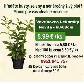 Vavrinovec Novita 80cm/6€ - dovoz