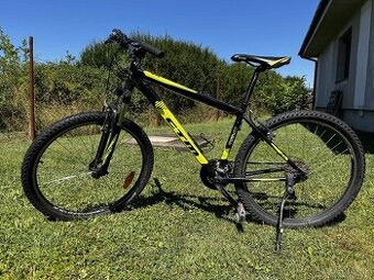 CTM Rein 1.0 2019