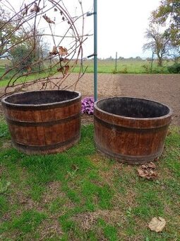 Sudvé kvetináče dubové.