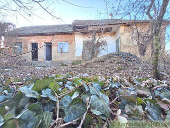 Pôvodná chalúpka v kľudnej časti podunajskej vinárskej ded - 1