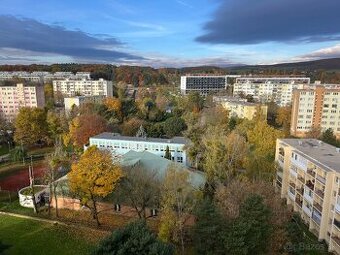 1 izb. s balkonom na Terase pri kine druzba, uplne nova rek.