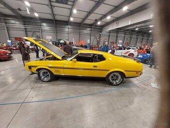 Koupím Ford mustang mach 1