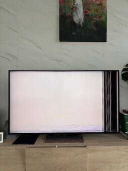 Poškodený Sony KD - 55XD9305