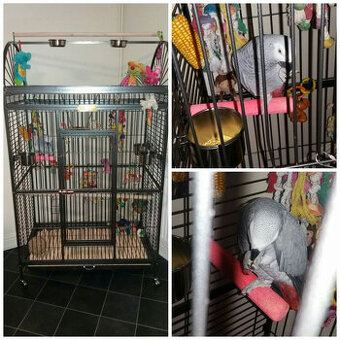 Voliéra pre vtáky - klietka pre zvieratá XXL NOVÁ