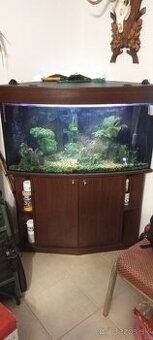 Akvárium predaj