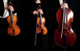 Hľadám huslistu, violistu
