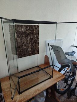 Terarium