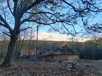 NOVINKA Dom na samote v lese-pokoj, ticho Stará Turá