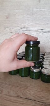 Pesto z medvedieho cesnaku