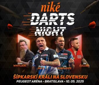 Darts night