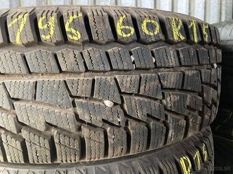 195/60R15 zimne