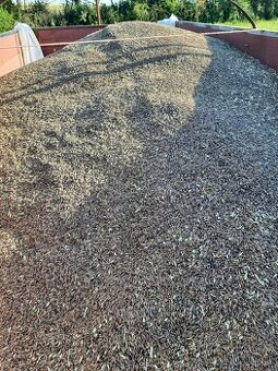 Predám čierny ovos.