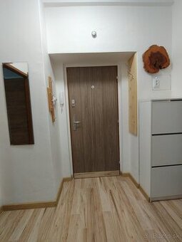 Veľký jednoizbový byt rezervované