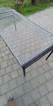 Králiky