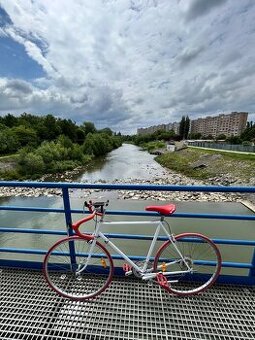 Cestný bicykel favorit