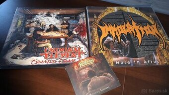 IMMOLATION + CRIMINAL ELEMENT + FLESHLESS