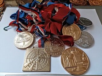 PREDAM LOT ŠPORTOVE MEDAILE PLAKETY