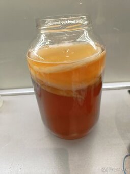 Kombucha