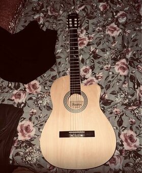 Akusticka Gitara Pasadena