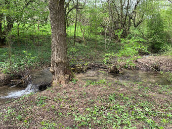 Predáme rekreačný, pozemok 4 345m², na kopaniciach