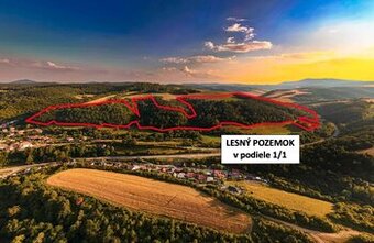 Rokycany – 250.000 m2 LESNÝ REKREAČNÝ POZEMOK v 1/1 pri PO