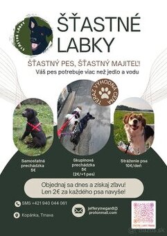 Starostlivosť o zvieratá (venčenie, opatrovanie)