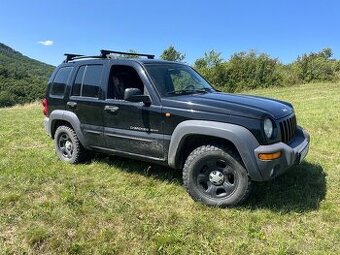 Jeep Cherokee sport - 1