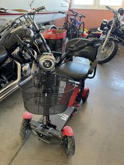 Elektrik Cart Novy