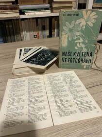 Naše květena ve fotografii