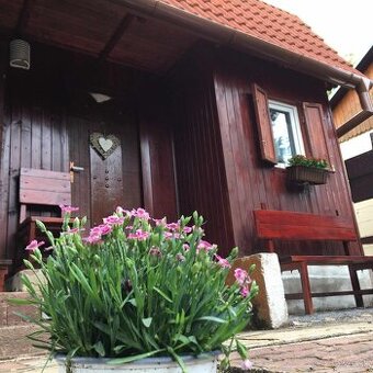 Celoročná chatka,zahradka,pozemok 4 áre Trnava /Bohdanovce