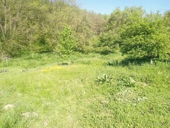 Údržby a kosenie záhrad