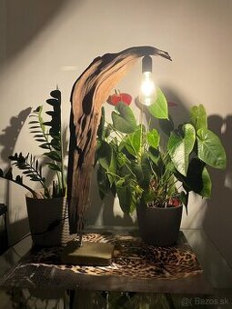 Stolná lampa, dubový koreň