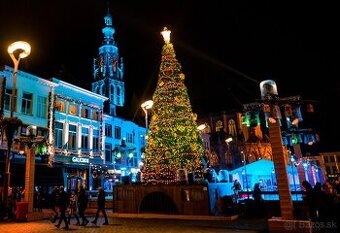 Opatrovanie Holandsko Aerdenhout 9.12.