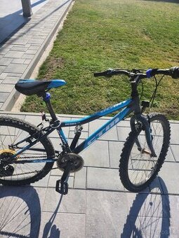 Detsky horsky bicykel CTM Berry 1.0 velkost 24
