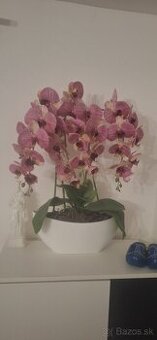 Predam krasnu velku umelu orchideu ruzovu