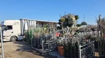 Praca v zahradnictve