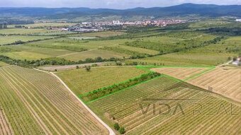 Na predaj zaujímavý pozemok v Modre s výmerou 6419 m2