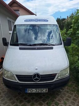 Mercedes Sprintner