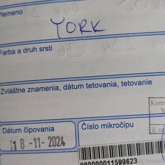 York - 1