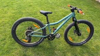 Scott Roxter 24