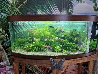 Akbarium juwel 450 l