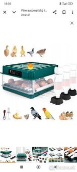 Automatická liaheň na 30 ks vajec