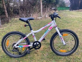 Bicykel genesis mx20"