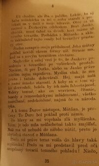 Zlatá Dônčová AGNESA A TIZIAN Mladé letá