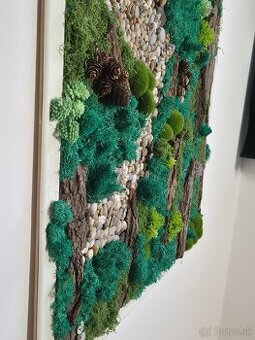 Obraz z konzumovaneho machu