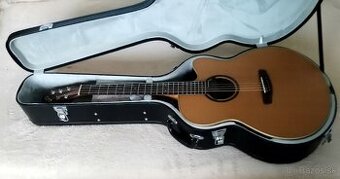 Predam el.ak. gitaru Dowina Sauvignon JC + kufor.