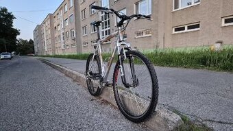 Horský bicykel Author Dexter
