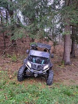 Buggy