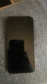 Apple 13